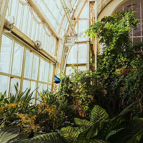 Instagram pillanatkép 8